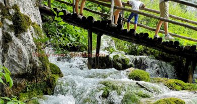 Le sens de la vie. Un jardin botanique